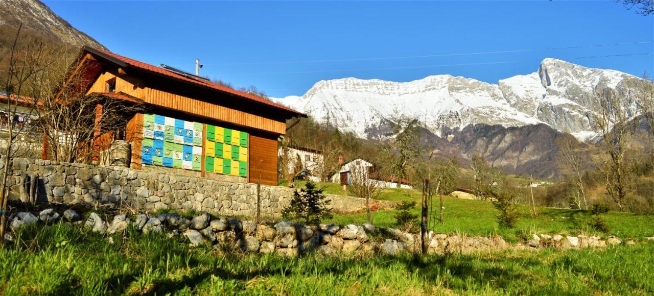 Sleeping With The Bees Kozjak Kobarid Zewnętrze zdjęcie