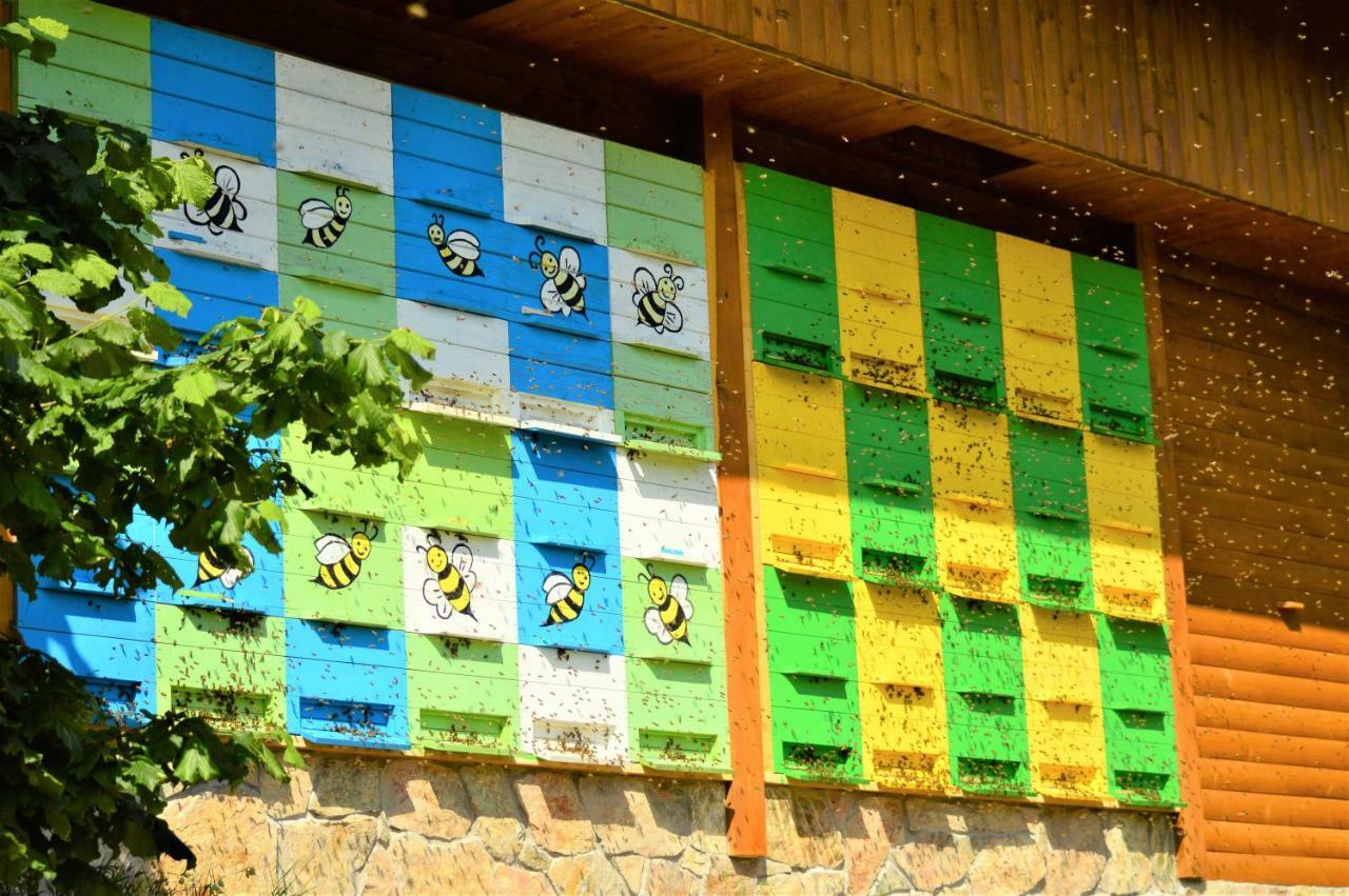 Sleeping With The Bees Kozjak Kobarid Zewnętrze zdjęcie